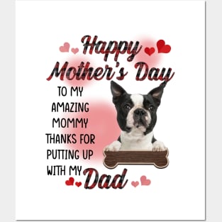 Boston Terrier Happy Mother's Day To My Amazing Mommy Posters and Art